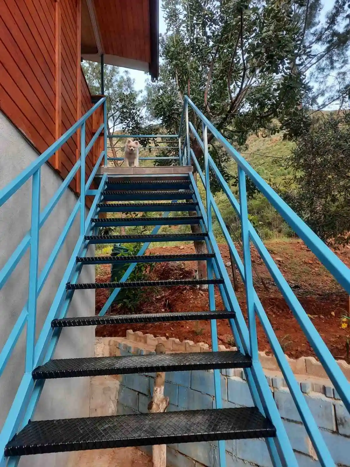 tatilcim.com Zeytin Camping ve Apart Evleri 